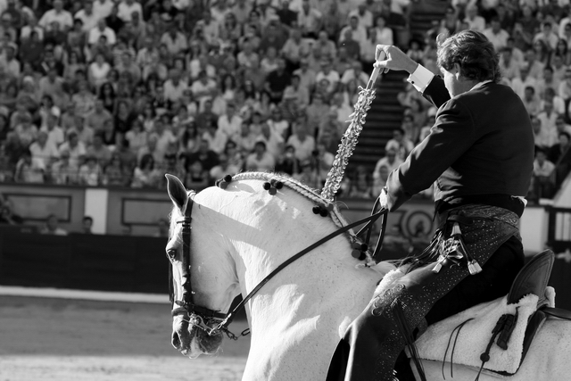 Bohórquez cita a su primer toro en banderillas. (FOTO: Gallardo)