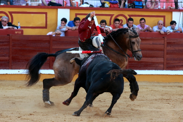 Banderilleando al estribo. (FOTO: Gallardo)