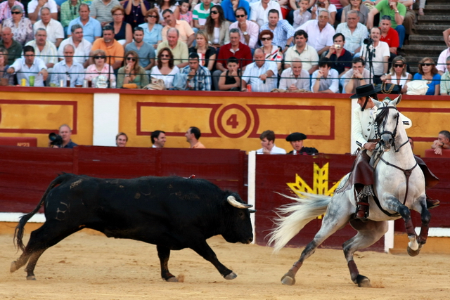 Encelando la embestida para dejar al toro en suerte. (FOTO: Gallardo)