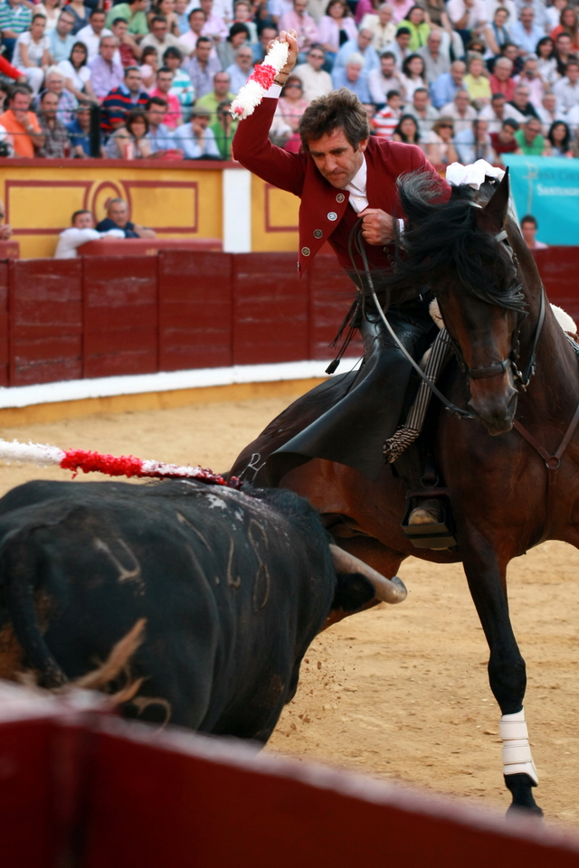 Dejándose ver, caballo y caballero. (FOTO: Gallardo)