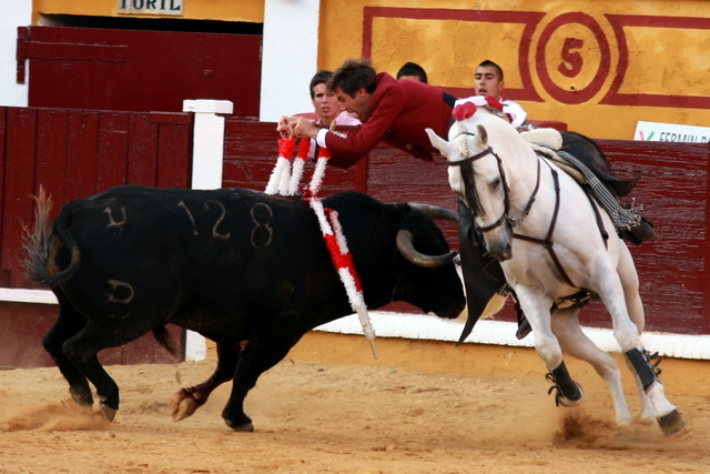 Cortas a dos manos. Manolito Manzanares no pierde detalle. (FOTO: Gallardo)