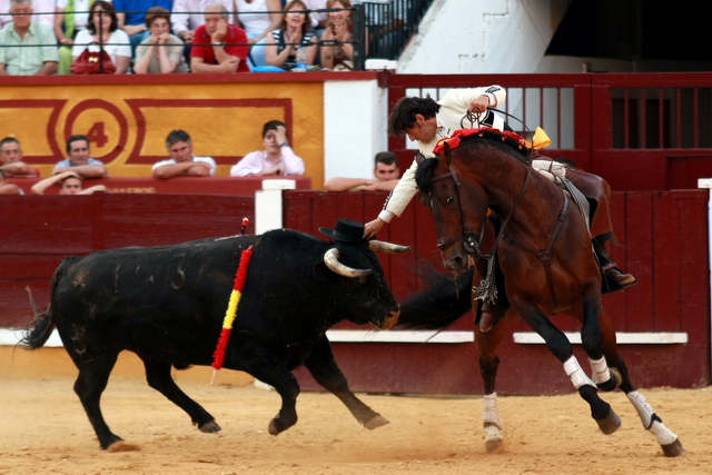 Adornándose con el cordobés. (FOTO: Gallardo)