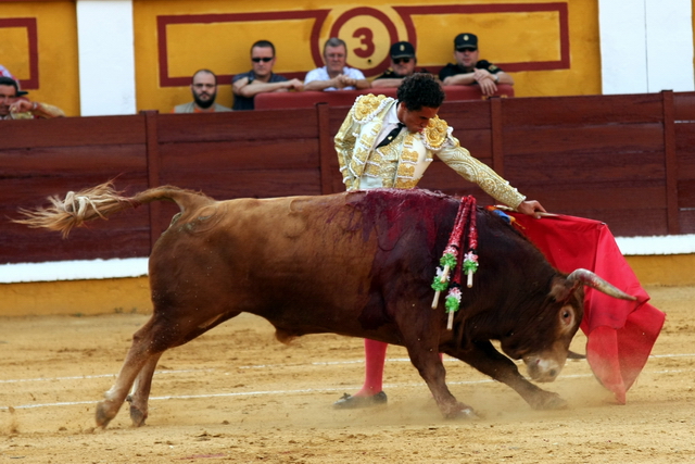 Por ambos pitones. (FOTO:Gallardo)