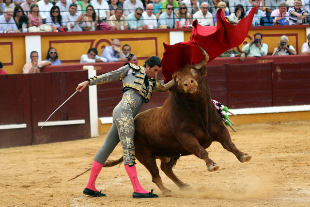 Pero donde mejor estuvo fue con la muleta. (FOTO: Gallardo)