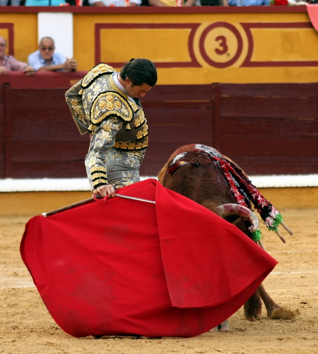 Israel Lancho muleteando al sobrero. (FOTO: Gallardo)