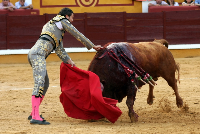 La espada refrendó una buena tarde. (FOTOS: Gallardo)