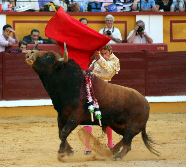 El de pecho dado con el corazón (FOTO: Gallardo)