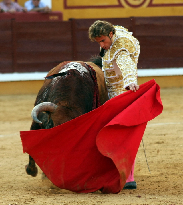 Ajustándose en el natural. (FOTO: Gallardo)