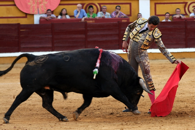 El quinto fue el mejor del encierro. (FOTOS:Gallardo)