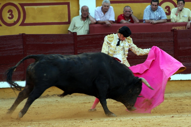 Excelentes verónica de Parejo al sexto. (FOTO: Gallardo)