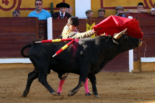 Gustándose en los de pecho. (FOTO: Gallardo)