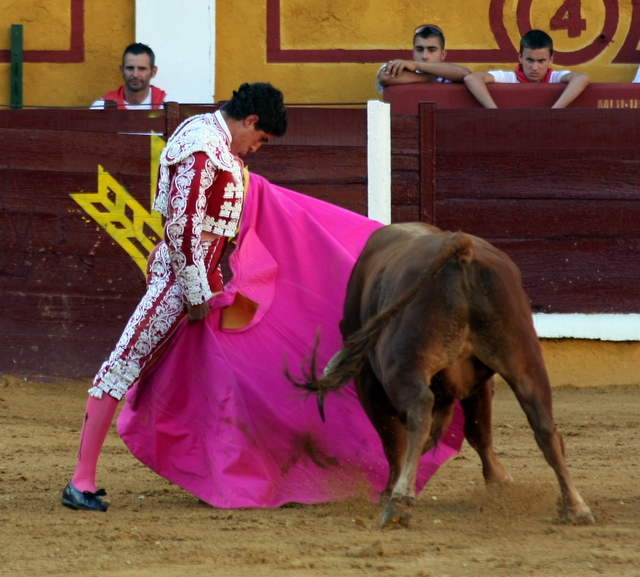 Ni se miró y acto seguido lanceó a la verónica. (FOTOS: Gallardo)