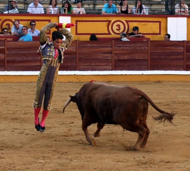 Clavó los palos en todo lo alto. (FOTO: Gallardo)