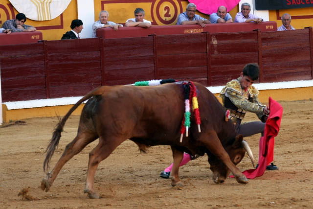 Inicio de faena inteligente y armónico. (FOTO: Gallardo)