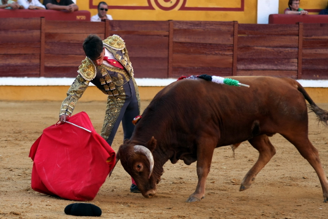 La muleta planchada y la cintura rota. (FOTO: Gallardo)