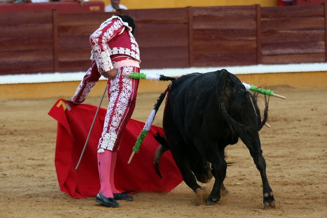 Maneja la izquierda que da gusto verle. (FOTO: Gallardo)