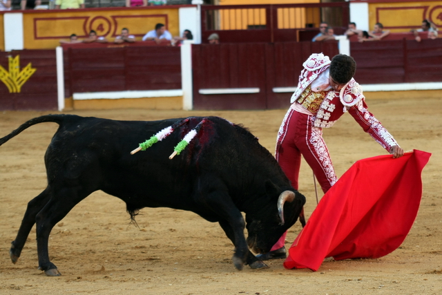 Rafael Cerro llevando muy toreado a su novillo. (FOTO: Gallardo)