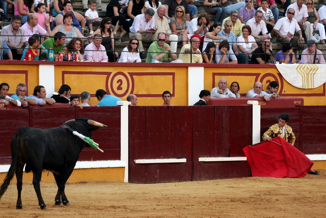 Torero inicio de faena. (FOTOS: Gallardo)