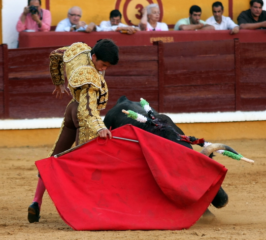 Templado muletazo de 'Gallero'. (FOTO: Gallardo)