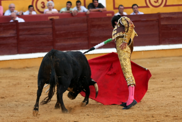 Acompañando la embestida. (FOTO: Gallardo)