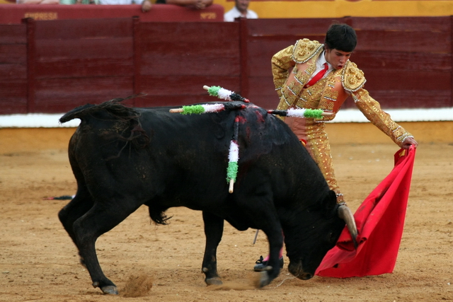 Demostró que maneja bien la mano de los cortijos. (FOTO: Gallardo)