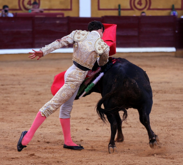 Como mandan los cánones: de pitón a rabo. (FOTO: Gallardo)