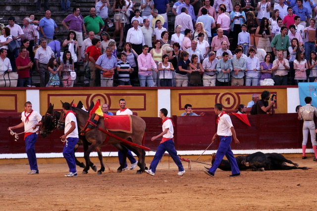 Vuelta al ruedo al sexto. Triunfo ganadero. (FOTO: Gallardo)