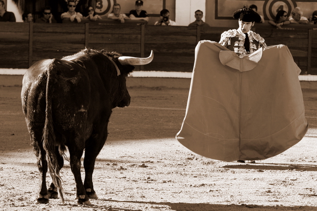 En él confluyen tauromaquias del ayer.