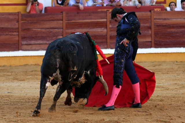 El Fandi derrochó temple con la muleta. (FOTO: Gallardo)