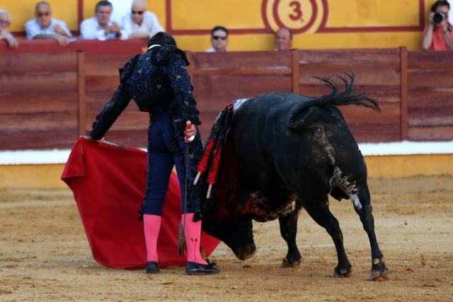 Es también naturales desmayados.