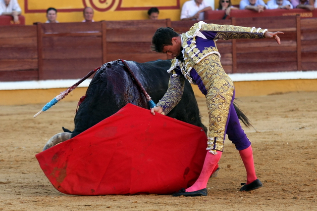 Inicio con torería del pase de pecho.