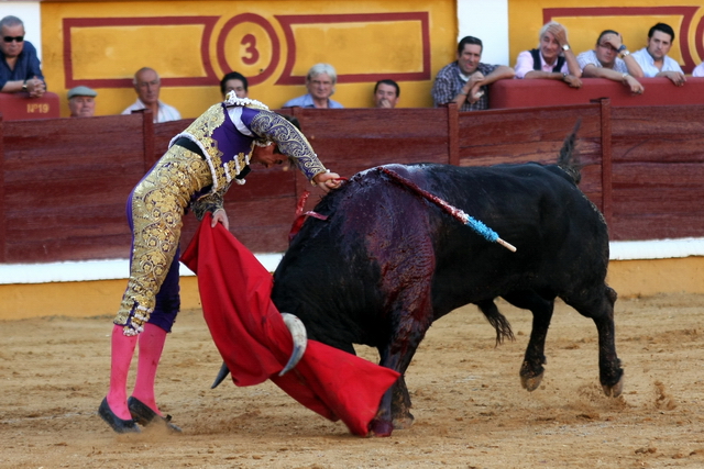 El cañón de Manzanares haciendo estragos.