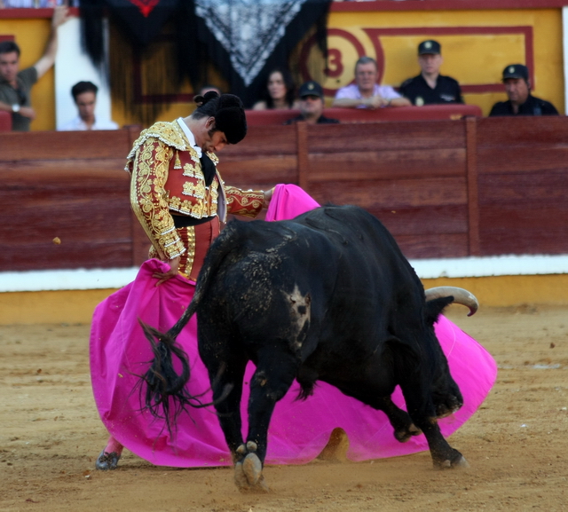 Quédense con el detalle de la mano derecha.