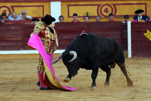 La cadencia absoluta.