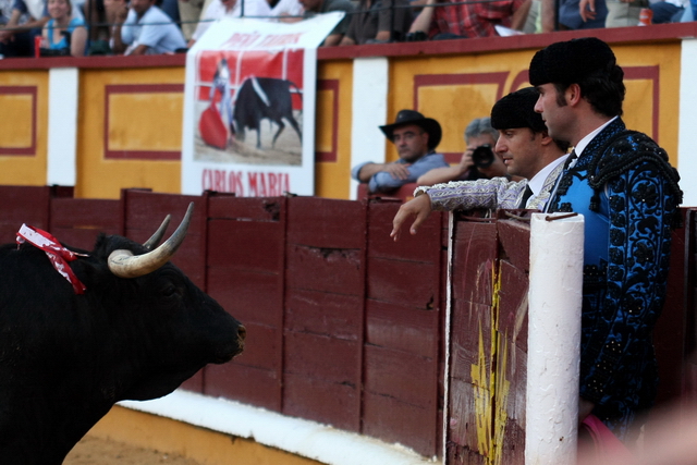 Javier Sánchez Araujo sujentando al toro con la mirada. (FOTO: Gallardo)