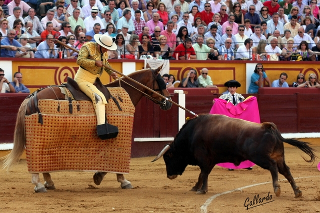 Agarrándose en lo alto. Buena vara. (FOTO: Gallardo)