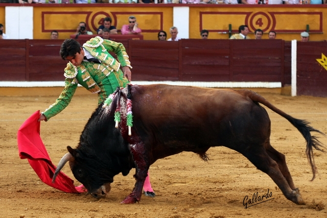 Seriedad de Perera en el trazo del muletazo.