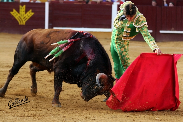 Miguel Ángel Perera sacó la raza torera. (FOTO: Gallardo)