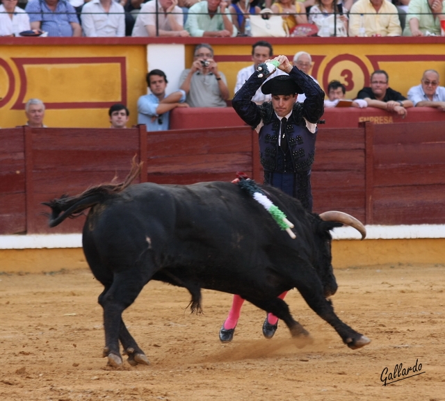 Julio López en banderillas. (FOTO: Gallardo)