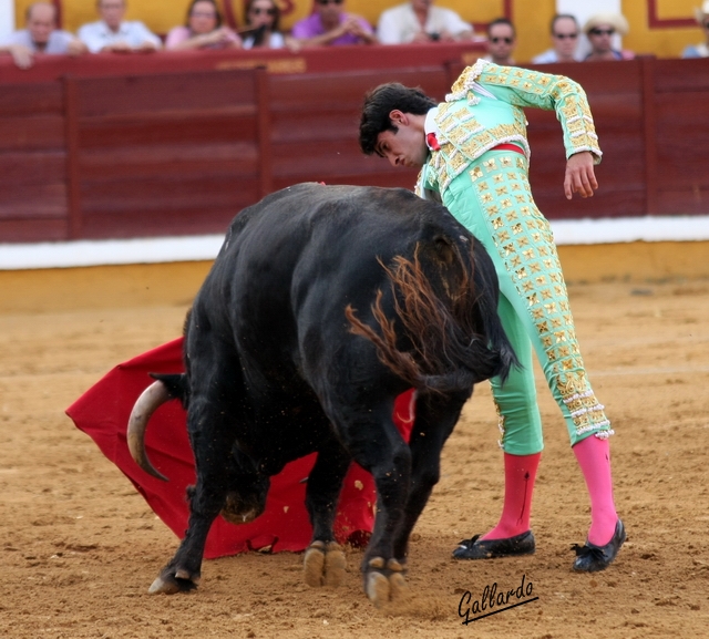 Talavante, majestuoso con el tercero. (FOTO:Gallardo)