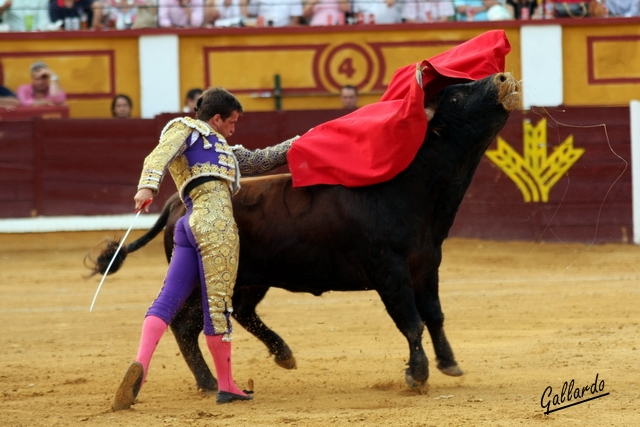 El Juli remantando con el de pecho. (FOTO: Gallardo)