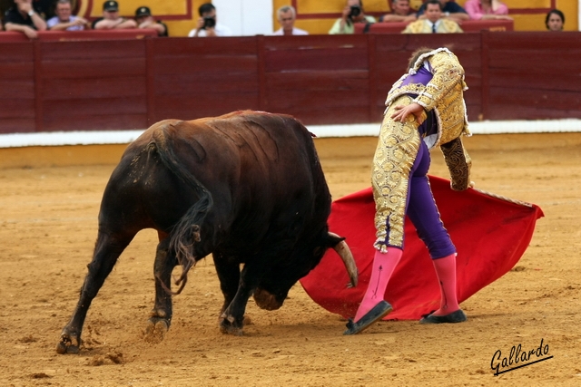 Maestral muletazo de un maestro de toreros.