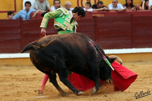 Encajado con el segundo de su lote.