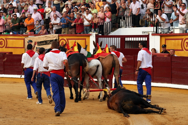 Cuando los aficionados son de verdad, aplauden al paso del toro. (FOTO: Gallardo)