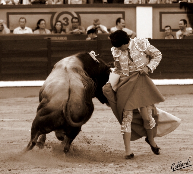 La potencia del toro domeñada por el hombre.