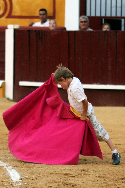 Pedro Hernández soñando verónicas de alhelí. (FOTO: Gallardo)