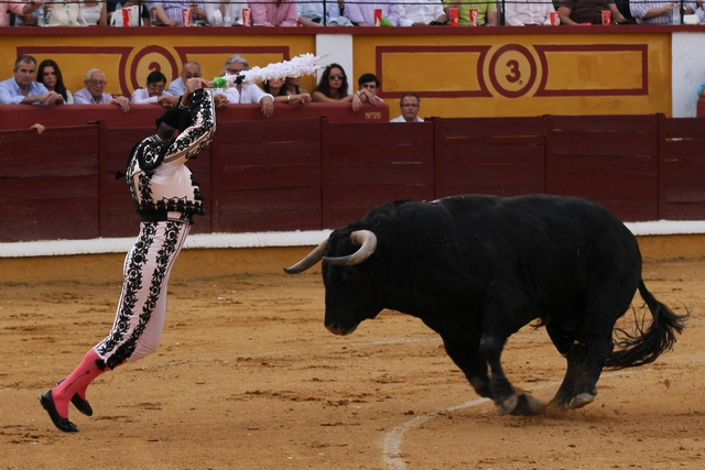 Los Tejero, dinastía de buenos banderilleros. (FOTO:Gallardo)