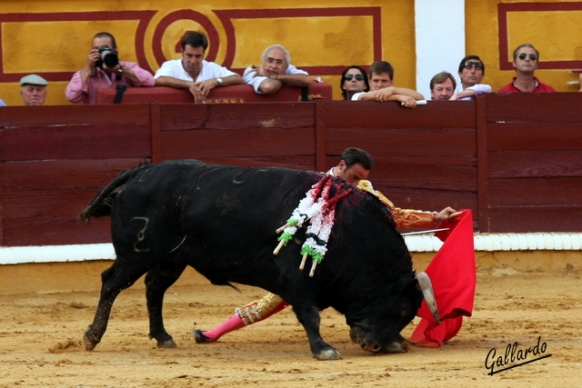 Inicio de faena enseñando al toro a coger los vuelos.