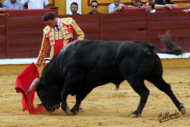 Muletazo encajado, barbilla clavada.