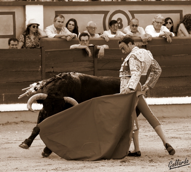 Enrique Ponce fijando la embestida de su antagonista. (FOTO:Gallardo)